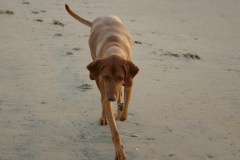 IMG_1314-bewerkt