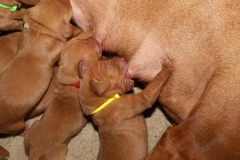 3 april 2019
