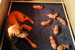 IMG-20220817-WA0010