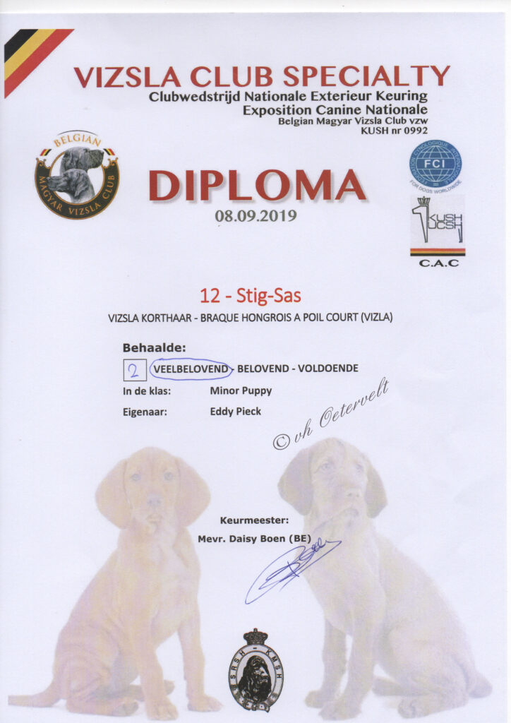 Diploma Vizsla Vereniging