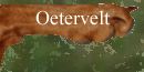 over de naam Oetervelt