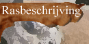 Vizsla - rasbeschrijving !