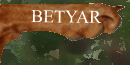 Over Betyar