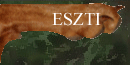 Over Eszti