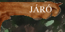Over Jaro