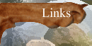 Links naar andere Vizsla sites !