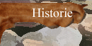 Historie van de Vizsla