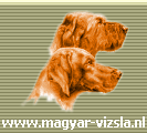 Nederlandse Vizslavereniging